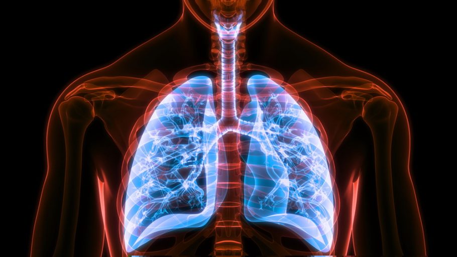pluća rentgen snimak