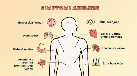 simptomi anemije grafika