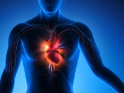 srce-srčani udar- kardiovaskularne bolesti