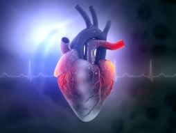 srce-bolesti srca- kardiovaskularni problem