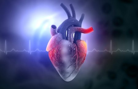 srce-bolesti srca- kardiovaskularni problem