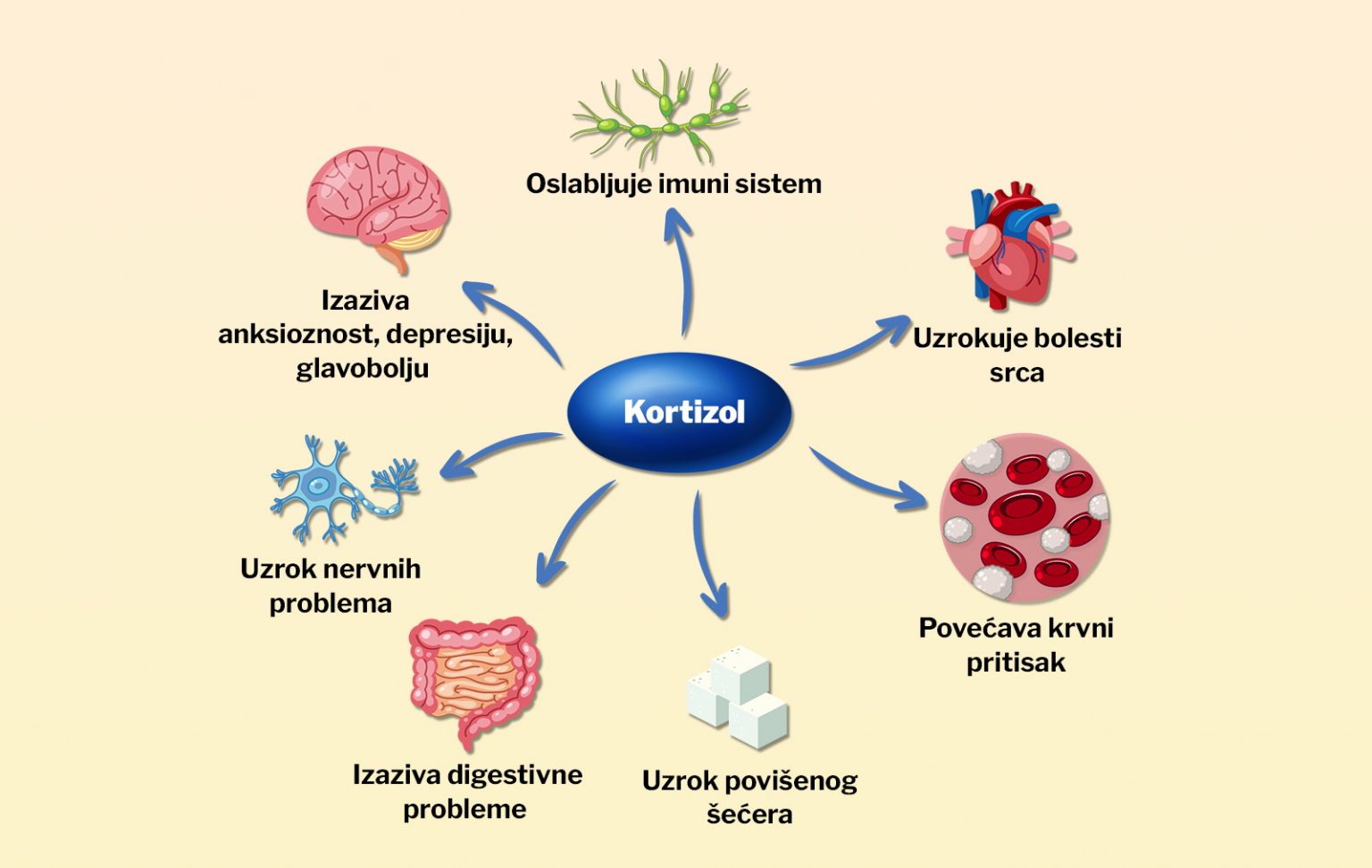 Kortizol ili hormon stresa Sve što treba da znate o ključnom