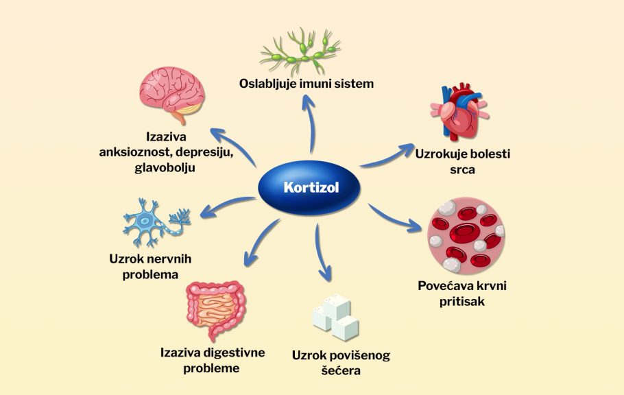 kortizol-hormom-stres