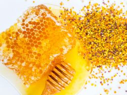 polen-pčele-pčelinji polen-zdravlje
