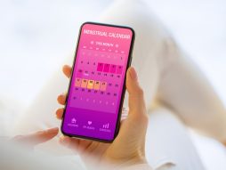 ovulacija-kalendar mentsruacije-trudnoća