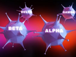 alpha-beta-gamma-delta soj-korona virus