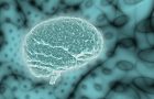 mozal-alchajmerova bolest-metali u mozgu
