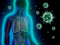 imuni sistem-mutacije korona virusa-sojevi korona virusa