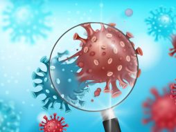 korona virus- sojevi-dve mutacije-zaraza