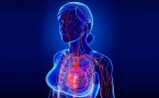 srce- srčane bolesti kod žena- kardivaskularne bolesti