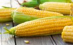 kukuruz- varenje-vlakna-vitamini