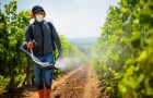 Pesticidi, trovanje, dr Tomislav Režić