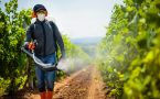 Pesticidi, trovanje, dr Tomislav Režić
