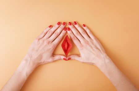 Vulva, vagina
