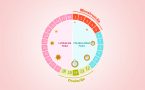 mentsruacija- menopauza-promena ciklusa