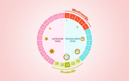mentsruacija- menopauza-promena ciklusa