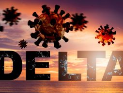delta soj- covid 19- zarazniji soj virusa