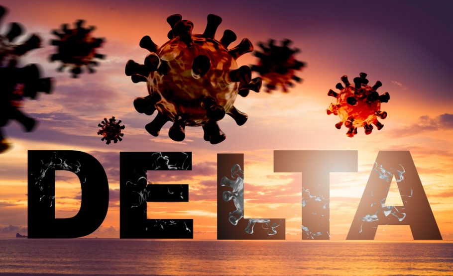 delta soj- covid 19- zarazniji soj virusa