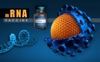 covid 19 - mRNA vakcine- pfizer i Moderna- smanjena efikasnost