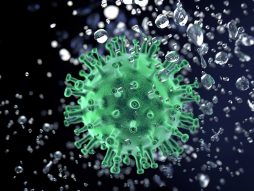 korona virus- zaraznost- prenos virusa