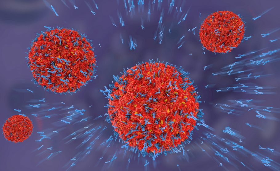 antitela- napada na virus- odbrana organizma -autoimune bolesti