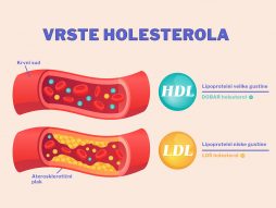 šta je LDL holesterol- HDL holesterol-vrste holesterola-