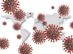 korona virus- imuni sistem- antitela