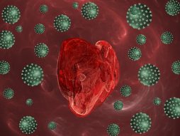srce i korona virus- visokorični pacijenti