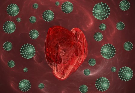 srce i korona virus- visokorični pacijenti