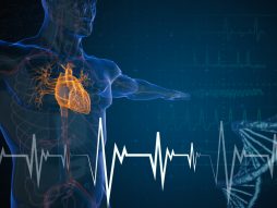 srčani udar - razlozi nastanka
