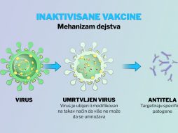 inaktivisane-vakcine