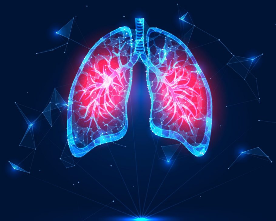 pluća, bronhije, alveole