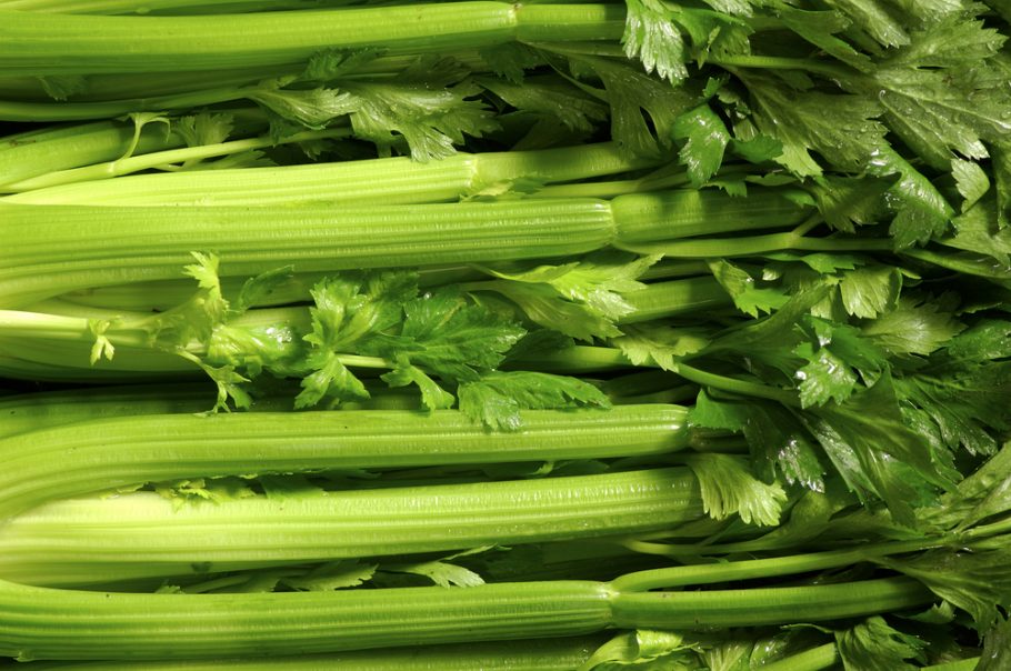 celer- zdravlje