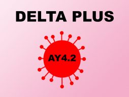 delta plus soj - covid 19