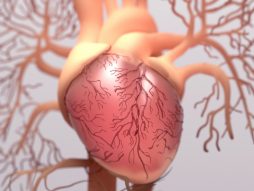 srce miokarditis
