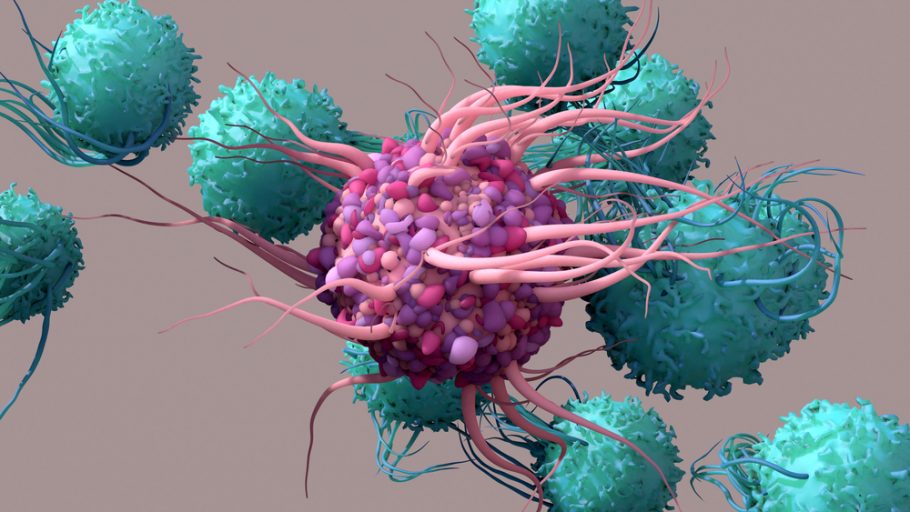T ćelije imunog sistema