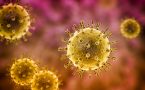 Virus varičela herpes zoster