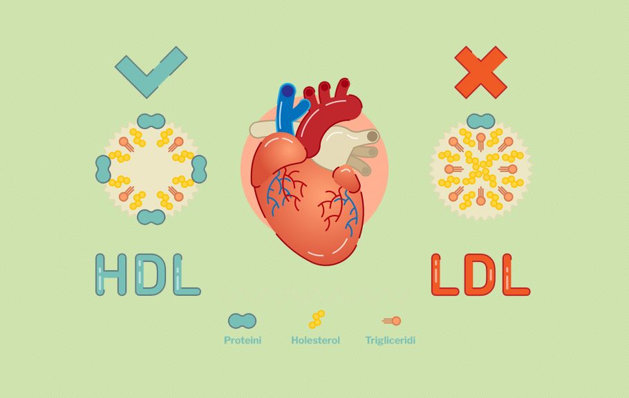 Viši nivo dobrog HDL holesterola