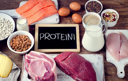 Proteini iz namirnica