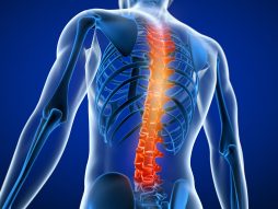vežbe koje otklanjaju bol u leđima