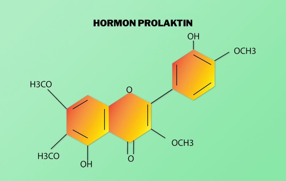 prolaktina