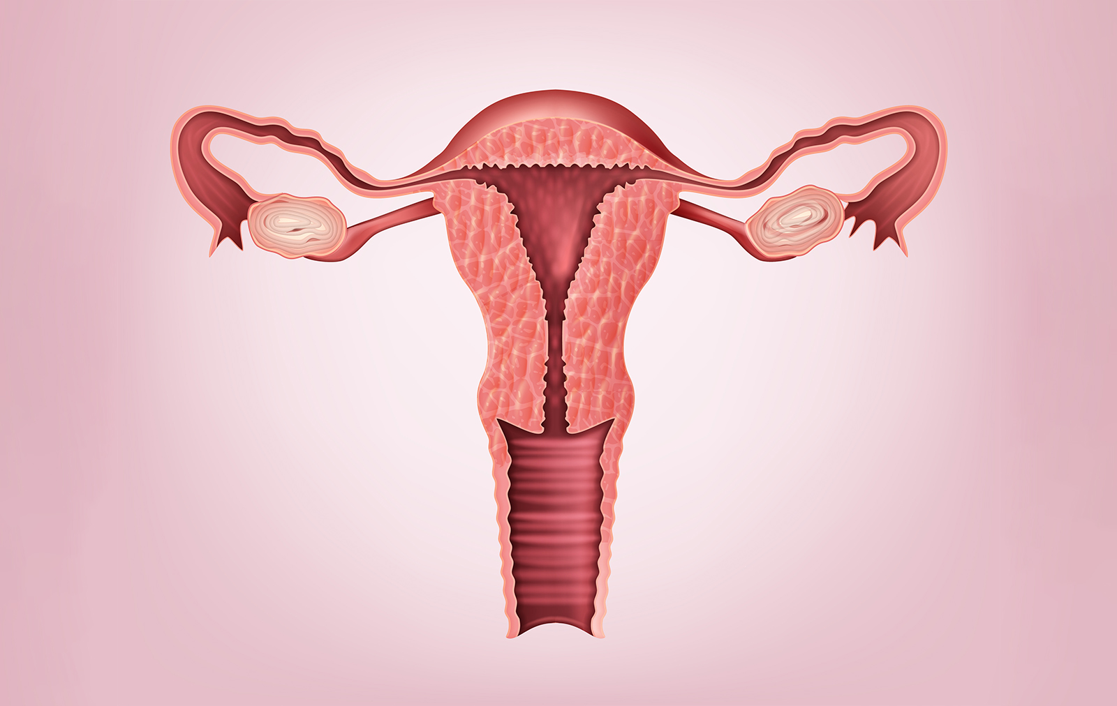 Seks tokom menstrualnog ciklusa