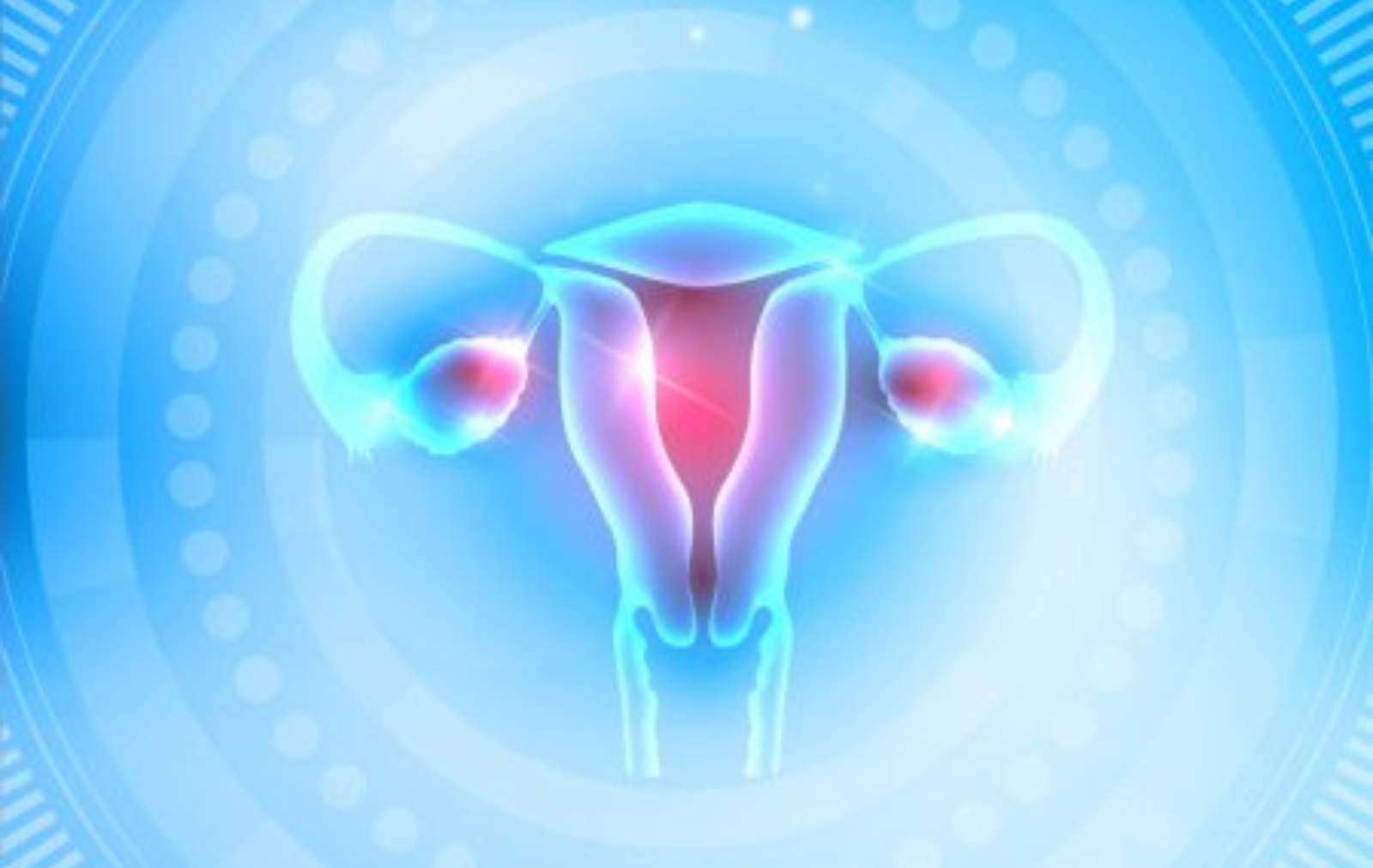 Женский половой орган персик. Здоровые женские органы. Изображение женской репродуктивной системы. Здоровая репродуктивная система. Здоровая репродуктивная система женщины.