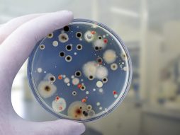 novi lek bakterije