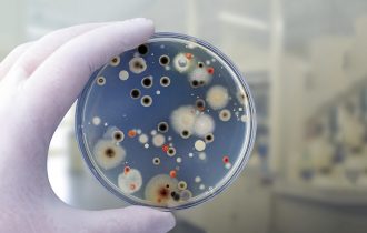 Novi lek može biti efikasan protiv nekoliko stotina bakterija otpornih na antibiotike