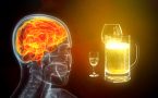 delovanje alkohola na mozak