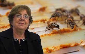 Propolis je čuvar zdravlja, ali samo ako je od pravog meda, kako se primenjuje ovaj pčelinji proizvod