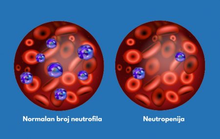 neutrofili u krvi