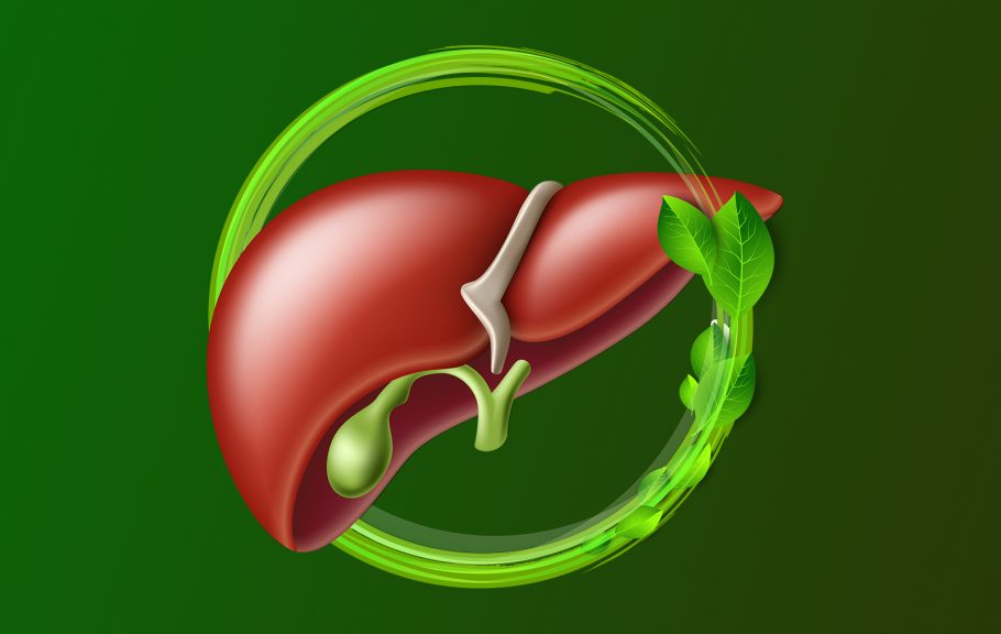 regeneracija jetre