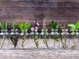 biljke i terapija gihta